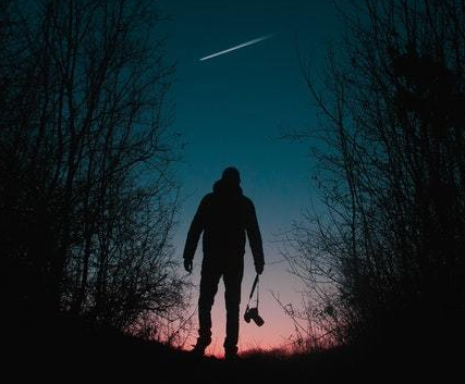 silhouette-of-man-and-trees-753994